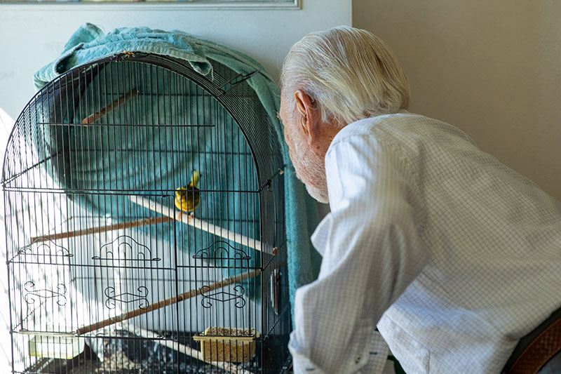 Korean War veteran Victor Jones 