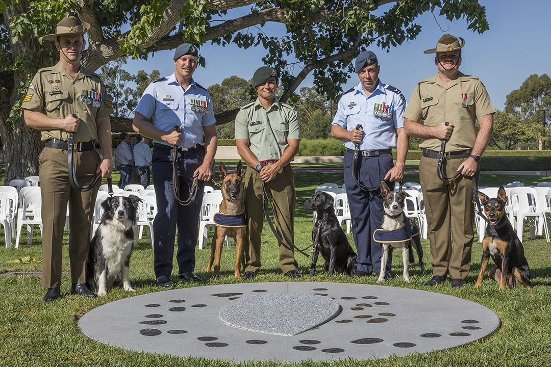 Military working dogs and their handlers at the 'Circling into sleep' memorial in Canberra