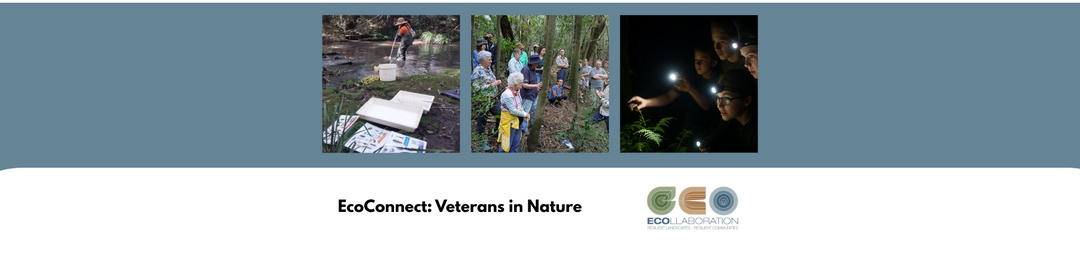 EcoConnect: Veterans in Nature